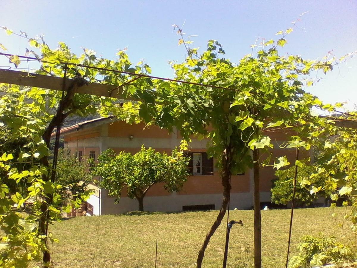 The Country Path B&B Toffia Exterior foto